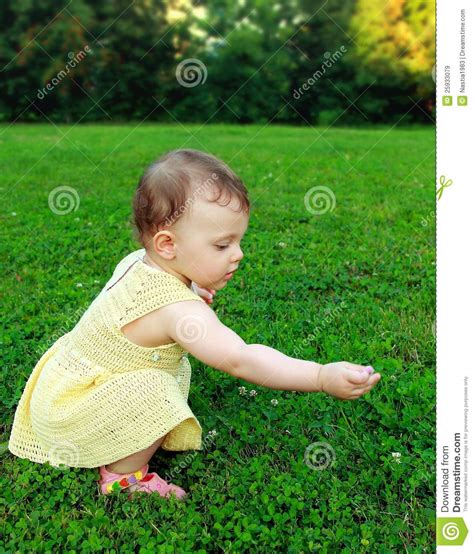 15,786 likes · 69 talking about this. Beautiful Baby Girl Picking Flowers Royalty Free Stock ...