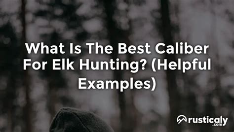 What Is The Best Caliber For Elk Hunting Detailed Guide