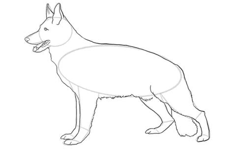 How To Draw A German Shepherd A German Shepherd Drawing Tutorial