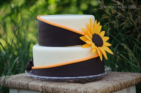 Best wedding cakes sioux falls from angela and lucas' brookings wedding cake the cake lady. 30 Of the Best Ideas for Wedding Cakes Sioux Falls - Best Diet and Healthy Recipes Ever ...