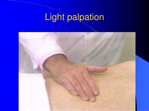 Ppt Physical Examination Powerpoint Presentation Free Download Id