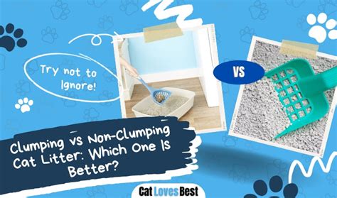 Clumping Vs Non Clumping Cat Litter Which One Is Better