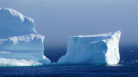 A Prime View Of Iceberg Alley In Newfoundland Canada CGTN