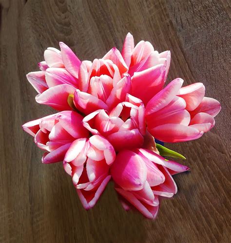 Karangan Bunga Tulip Merapatkan Foto Gratis Di Pixabay Pixabay