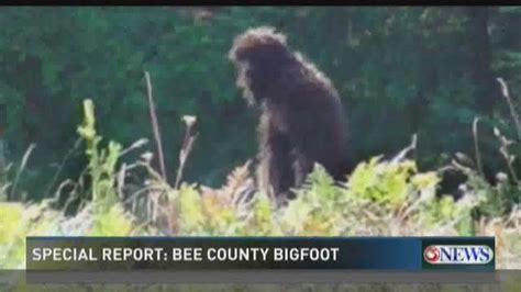 Special Report Bee County Bigfoot