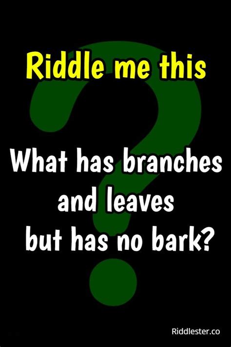 Can You Solve This Riddles Brainteasers Tricky Riddles With Answers