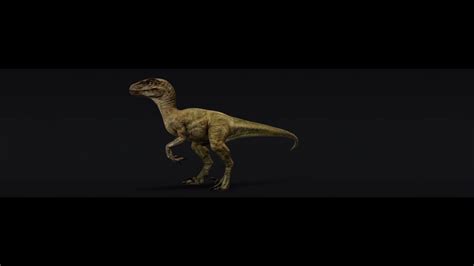 Velociraptor Sfm Youtube