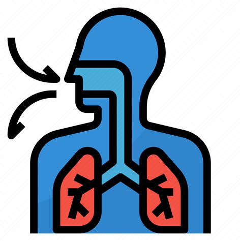 Anatomy Biological Respiratory System Icon Download On Iconfinder