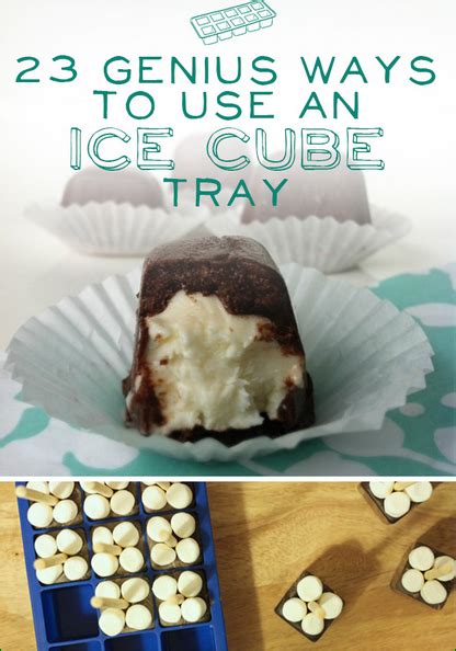 23 Genius Ways To Use An Ice Cube Tray Our Home Sweet Home Food