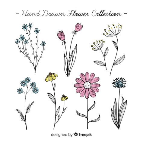 Free Vector Lovely Hand Drawn Flower Collection
