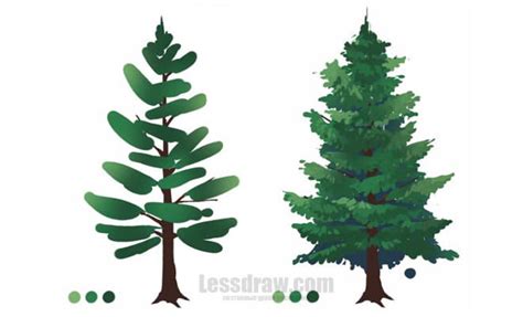 Sprawling Tree Drawing We Draw Trees The Cylindrical Shape Of The