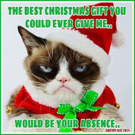 Another Grumpy Cat Meme By The Other Grumpy Kat 2018 Christmas T