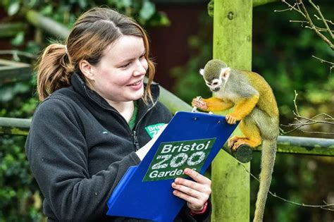 Bristol Zoo Closing Devon Zoos Saddened By Shock Closure Of 186 Year