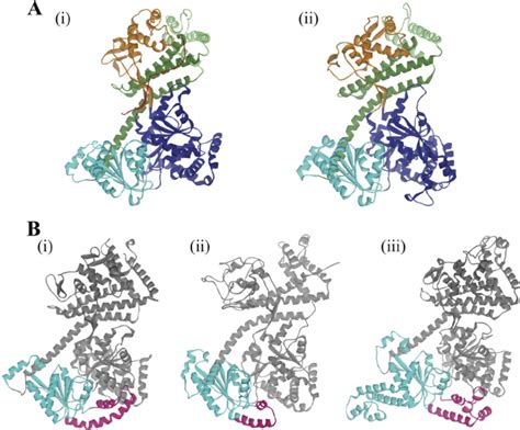 A X Ray Structures Of Seca Proteins Of I B Subtilis Protein Data