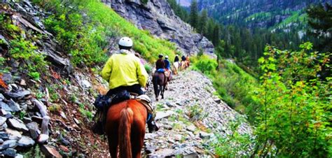 Montana Horseback Trail Riding