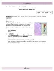 Gizmo student exploration building dna answer key. Student Exploration Building Dna Gizmo Answer Key, Convection Cells Gizmo Worksheet Answers ...