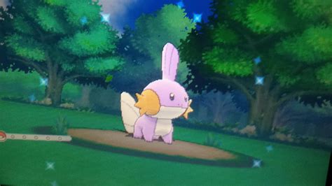 [6] Shiny Mudkip in Omega Ruby after about a week and a half of soft resetting! : ShinyPokemon