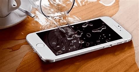 Does Your Iphone Have Water Damage Here Are The Signs To Look For
