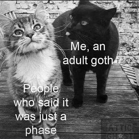 𖤐 💀🍭 𖤐 On Instagram “tag A Buddy Who Would Feel This 🥰👇🏻😂” Goth Goth Memes Goth Humor
