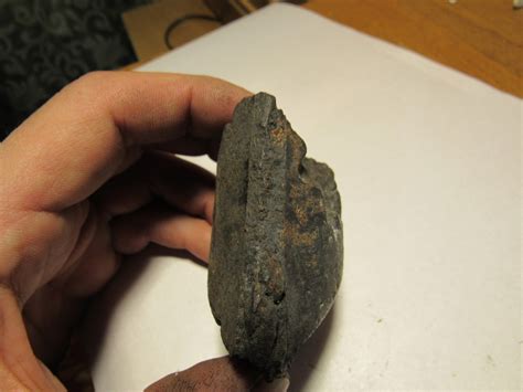 An Unusual Artifact Was Found In A Piece Of Coal In Kyshtym Earth