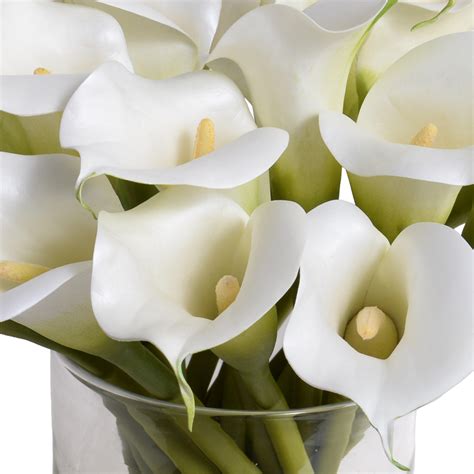 Calla Lily Arrangement In Glass White New Growth Designs