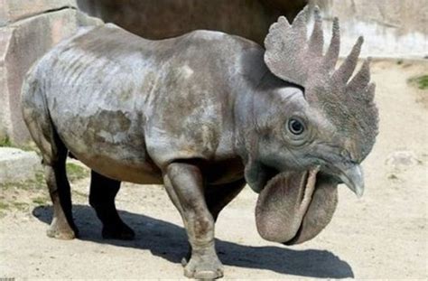 These Bizarre Hybrid Animals Really Freak Me Out 31 Pics