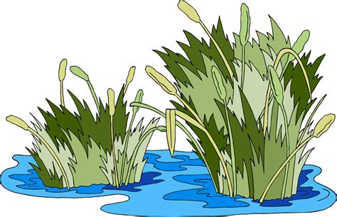 Free Marsh Cliparts Download Free Marsh Cliparts Png Images Free