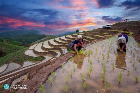 Banaue Rice Terraces Ifugao Philippines