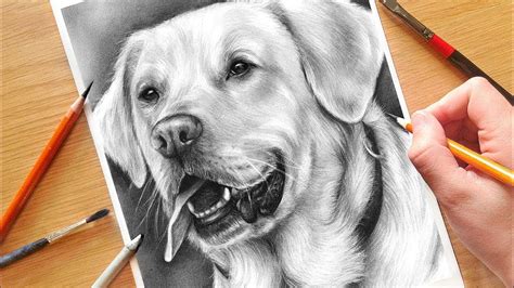 When you draw the paws, make sure you don't just draw circles with lines in them. HOW TO DRAW A DOG! Realistic Drawing Tutorial With Charcoal - Hildur.K.O