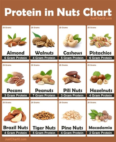 Protein In Nuts And Dry Fruits Chart