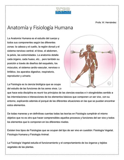 Introduccion Anatomia Y Fisiologia Basica 1ppt Cuerpo Humano Images