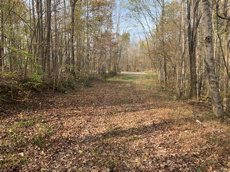 Recreational Hunting Land For Sale In Tennessee