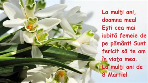 Felicitari 8 Martie Cele Mai Frumoase Felicitari şi Mesaje Pentru