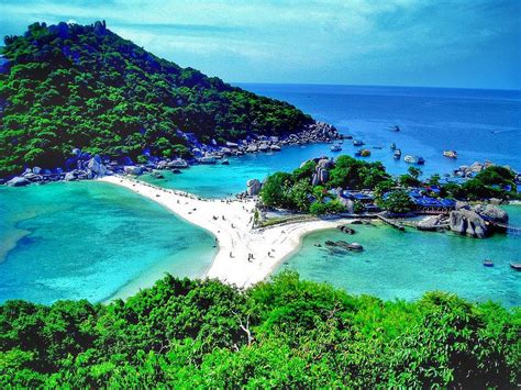 Amazing Things To Do In Koh Tao You Can T Miss Thailand Adventure Thailand Travel