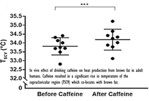 It also reduces the fat cells when consumed. After a cup of coffee, your brown fat cells produce more heat