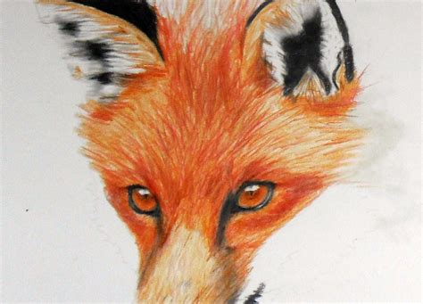 A Drawing Of A Fox With Orange Eyes