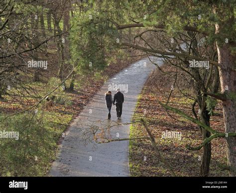 Young Couple Walking Holding Hands In The Woods On A Path Jordanhill