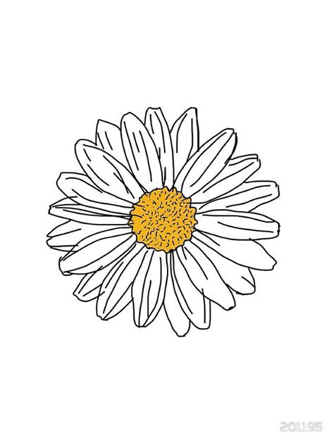 Daisy By Daisy Drawing Flower Drawing Flower Painting