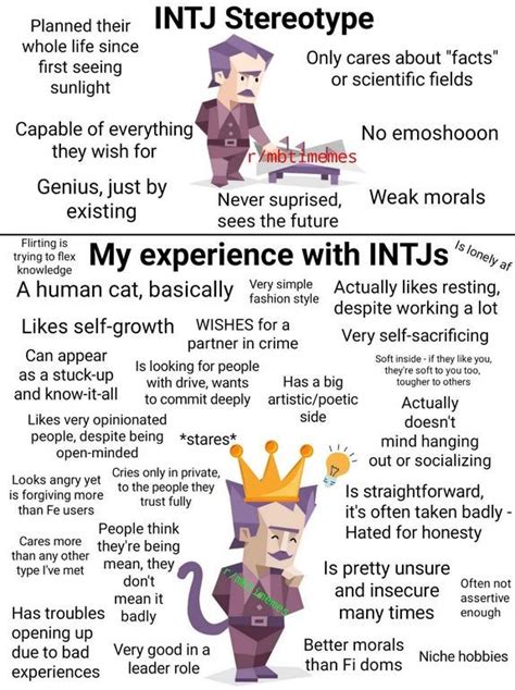 Intj Stereotype Vs My Experience With Intjs Can Differ Based On The