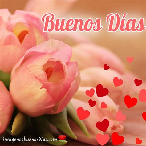 Imagenes De Buenos Dias Amor Con Flores