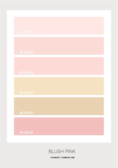 Blush And Gold Color Palette