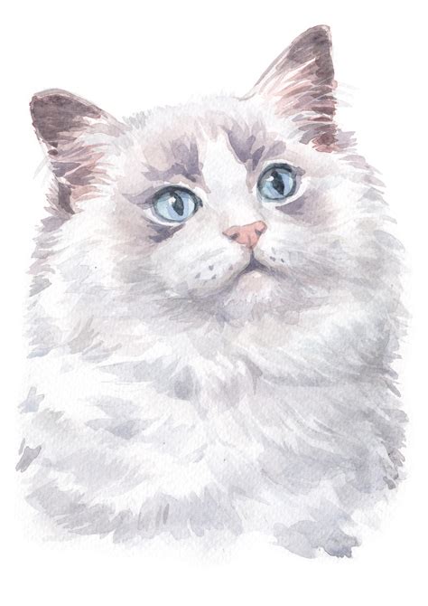 Watercolour Rag Doll Cat Breed Panel