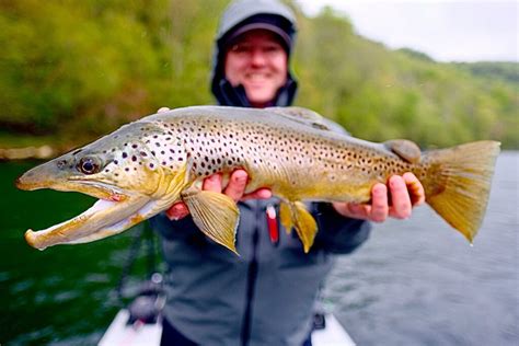 White River Fly Fishing Arkansas Best Guides Book Now