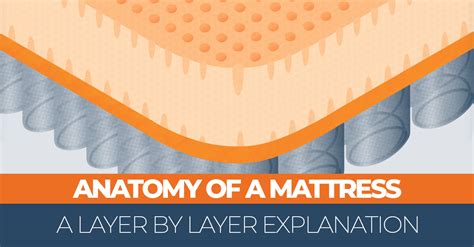 Anatomy Of A Mattress A Layer By Layer Explanation Sleep Advisor