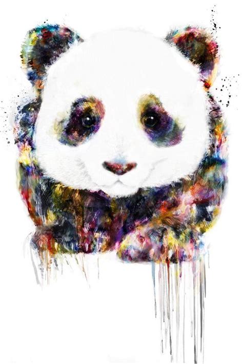 Animal Drawings Cool Drawings Image Panda Panda Love Panda Panda