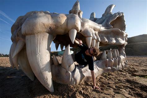 Massive Dragon Skull Along Englands Jurassic Coast
