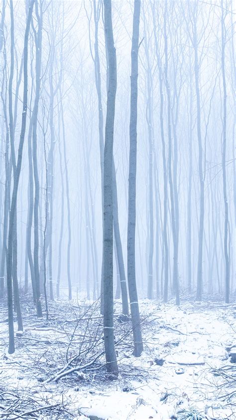 Download Wallpaper 1350x2400 Forest Snow Fog Trees Winter Iphone 8