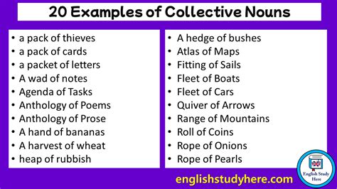 Collective Nouns Archives English Study Here