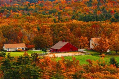 40 Beautiful Autumn Pictures The Photo Argus