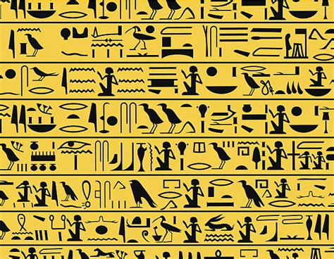 Hieroglyphics Translator Pictures Illustrations Royalty Free Vector